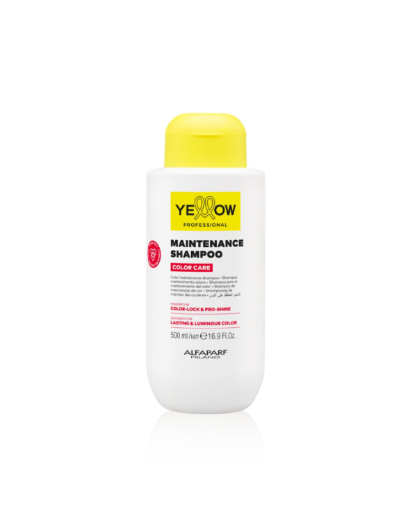 YE Color Care Shampoo 500ml